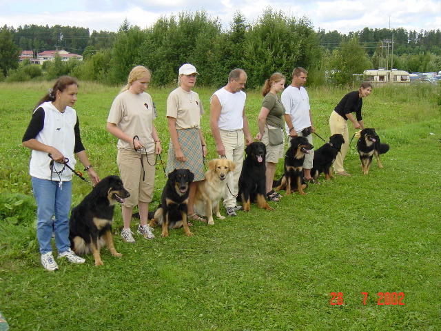 Tervakoskella junnuna Saga, Ronja, Nella-emo, Caro-is, Jasu, Venla ja Retu